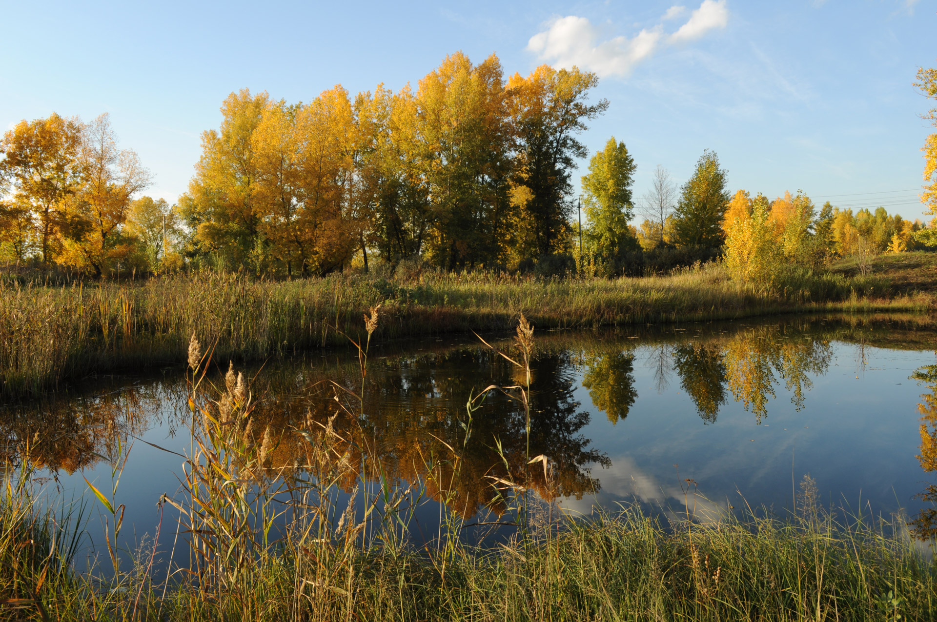 lake trees fall free photo