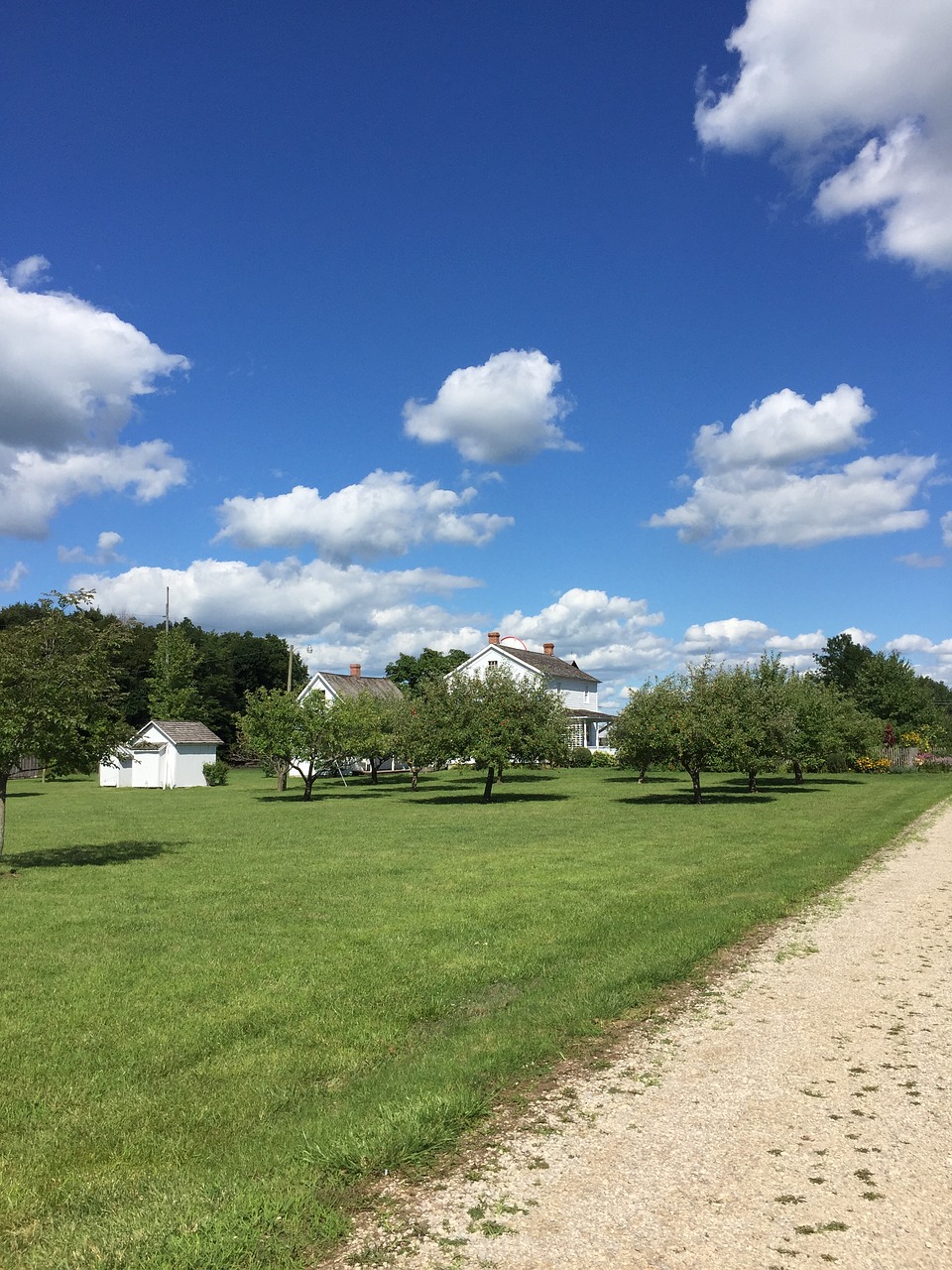 indiana blue sky path free photo