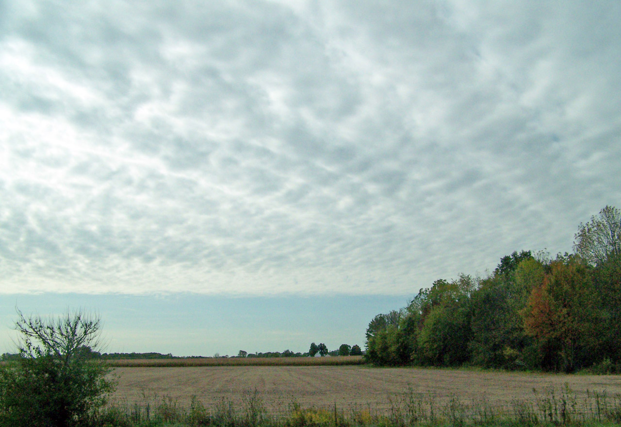 indiana field indiana field free photo