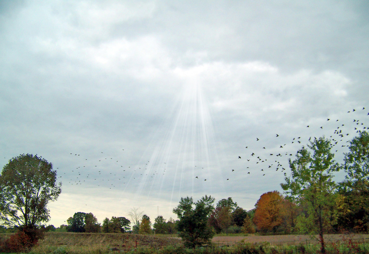 indiana landscape field free photo