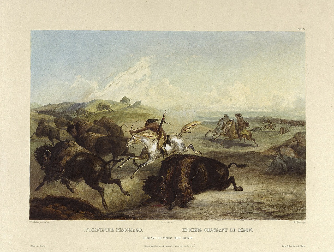 indians hunts buffalo free photo