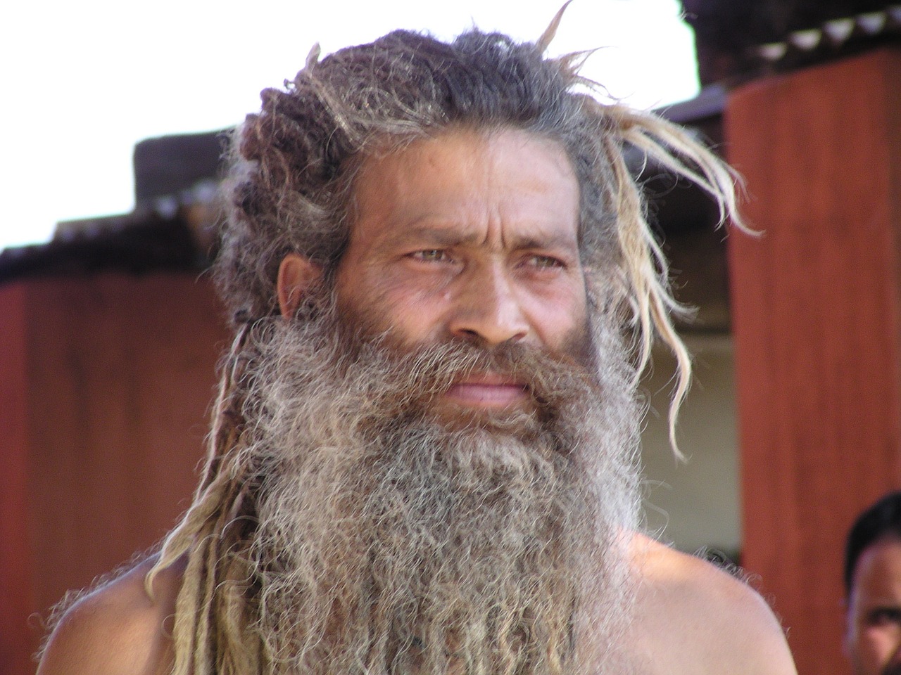 indians holy man hindu free photo