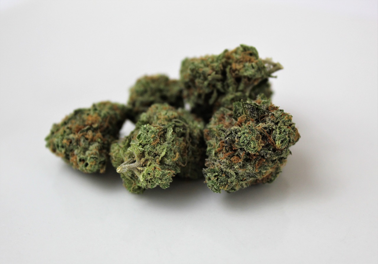 Indica, marijuana, weed, cannabis, pot - free image from needpix.com