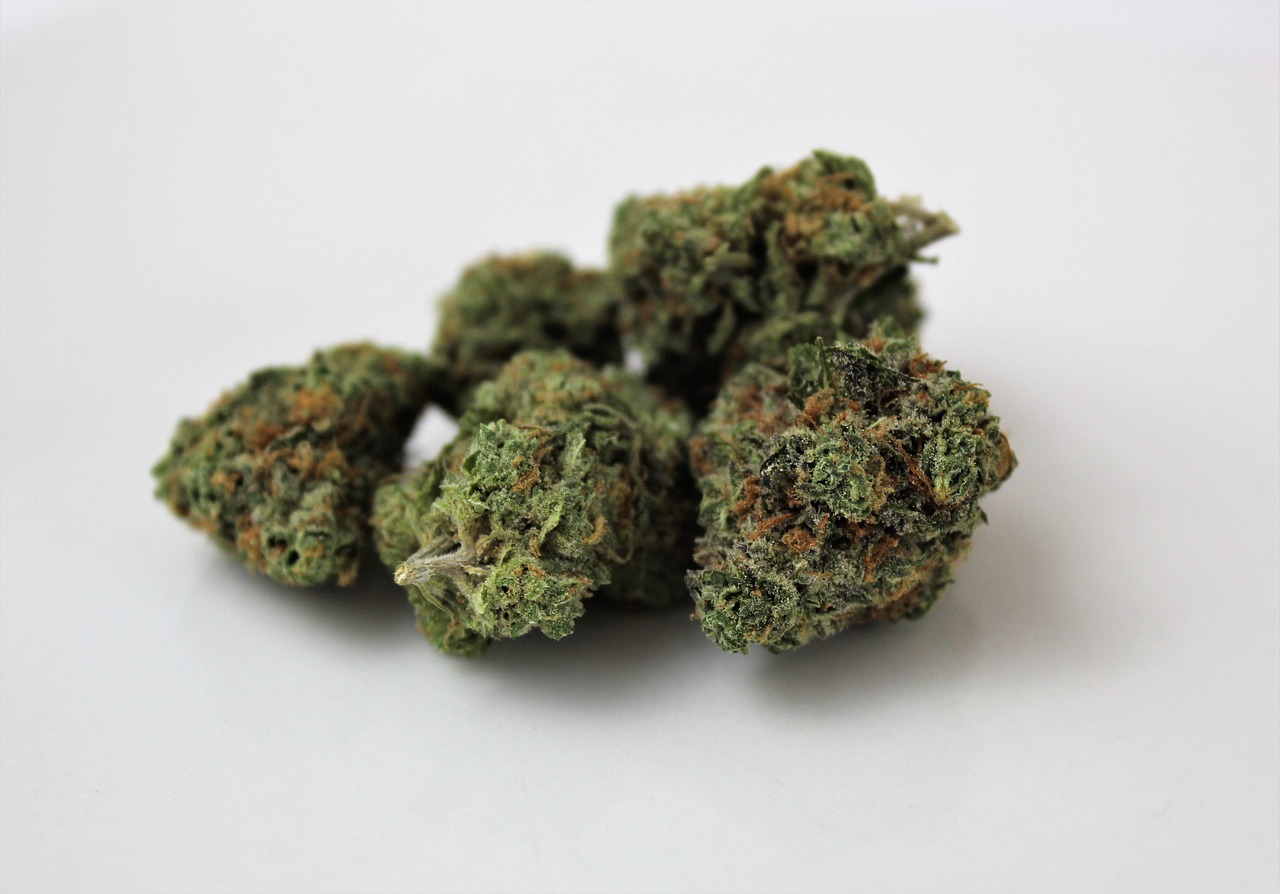 indica  marijuana  weed free photo