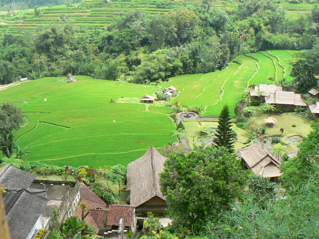 indonesia bali landscape free photo