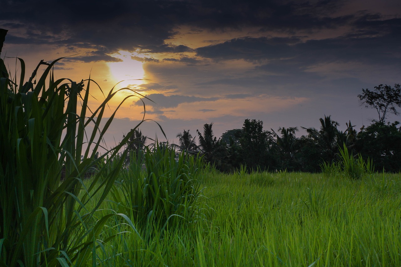 indonesia bali sunset free photo