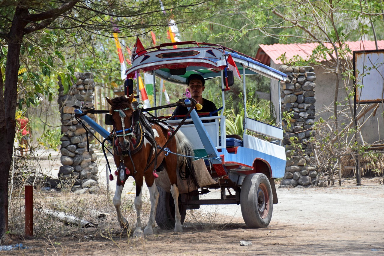 indonesia travel gili islands free photo