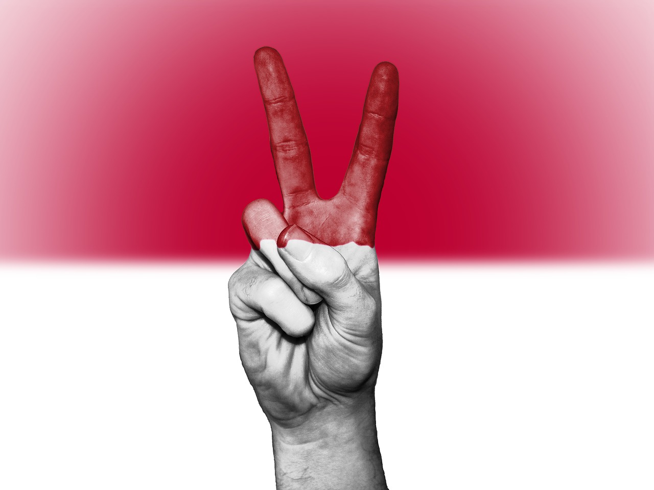 indonesia peace hand free photo