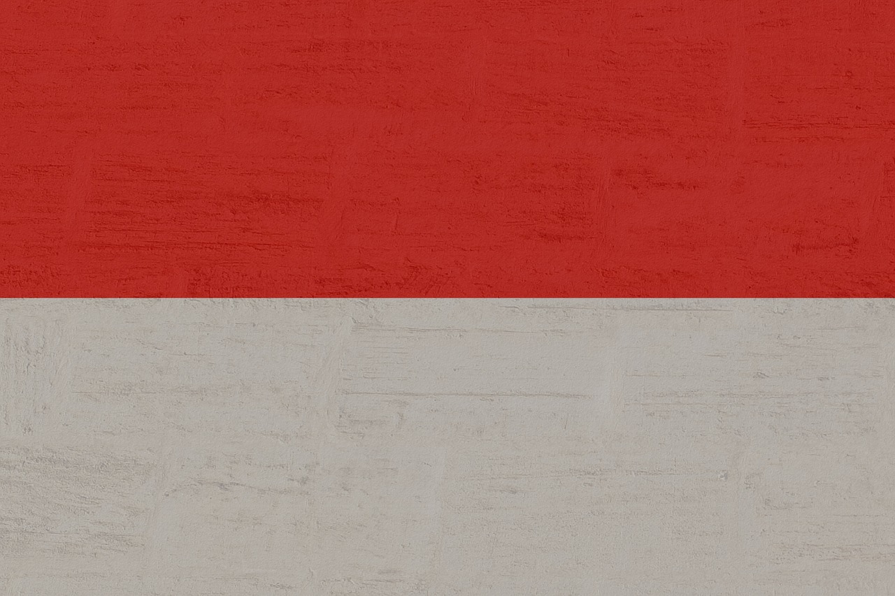 indonesia flag free pictures free photo