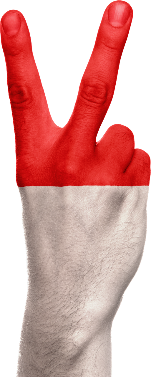 indonesia flag hand free photo