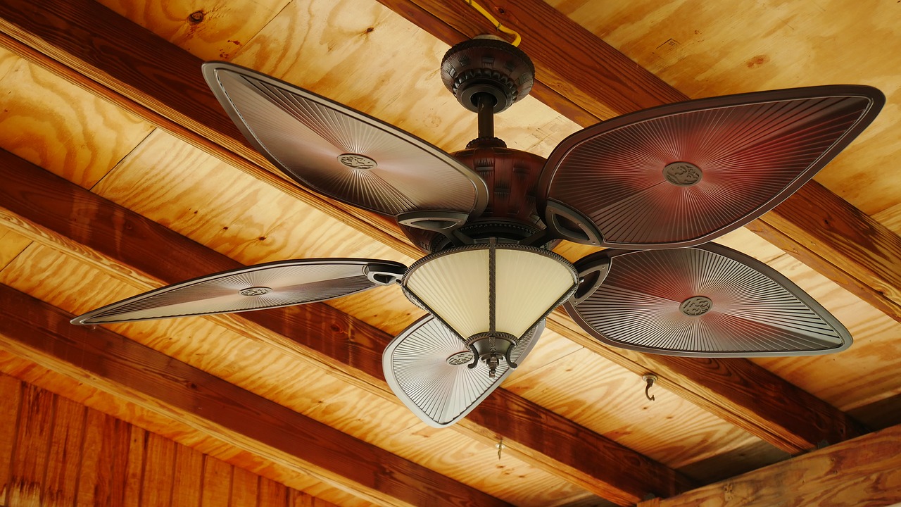 indoors  ceiling fan  interior free photo