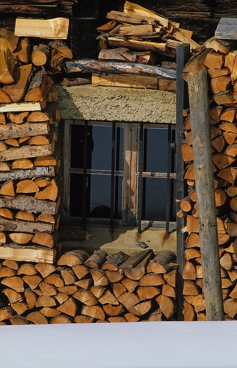 industry tree log wood free photo