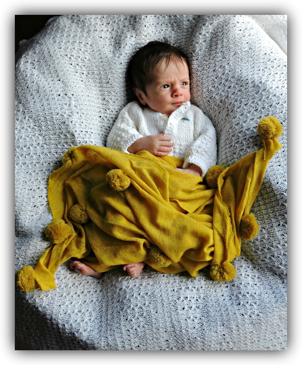 infant baby newborn free photo