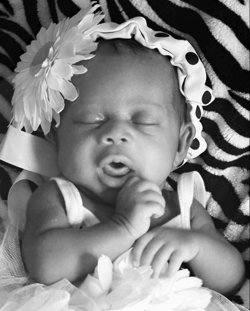 infant newborn baby free photo
