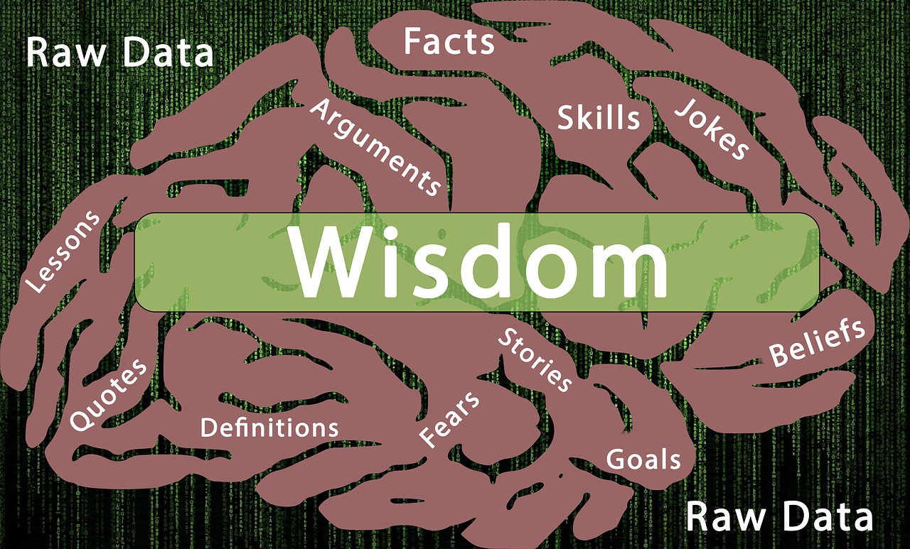 information processing  wisdom  facts free photo