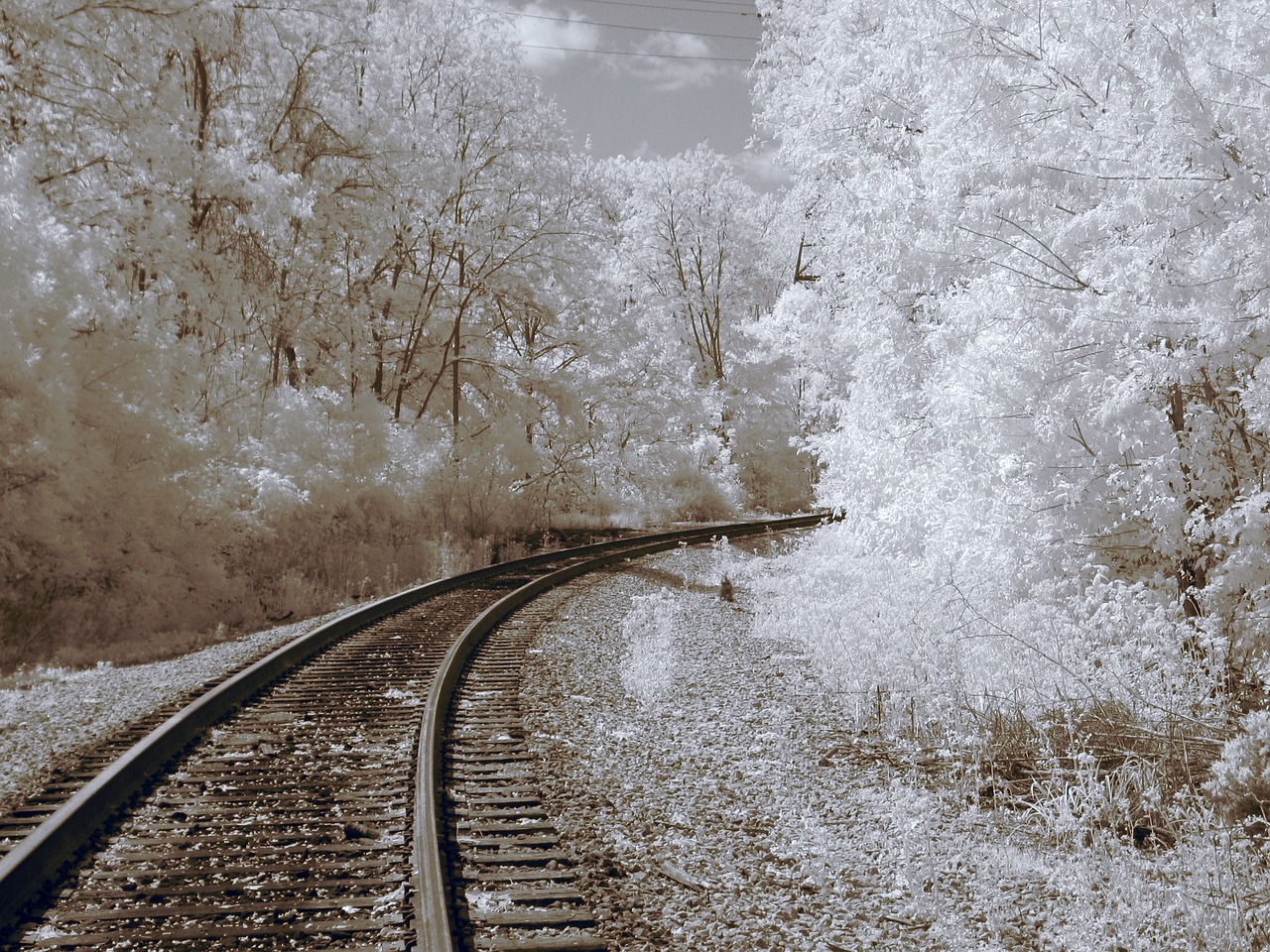 infrared railroad tracks train tracks free photo