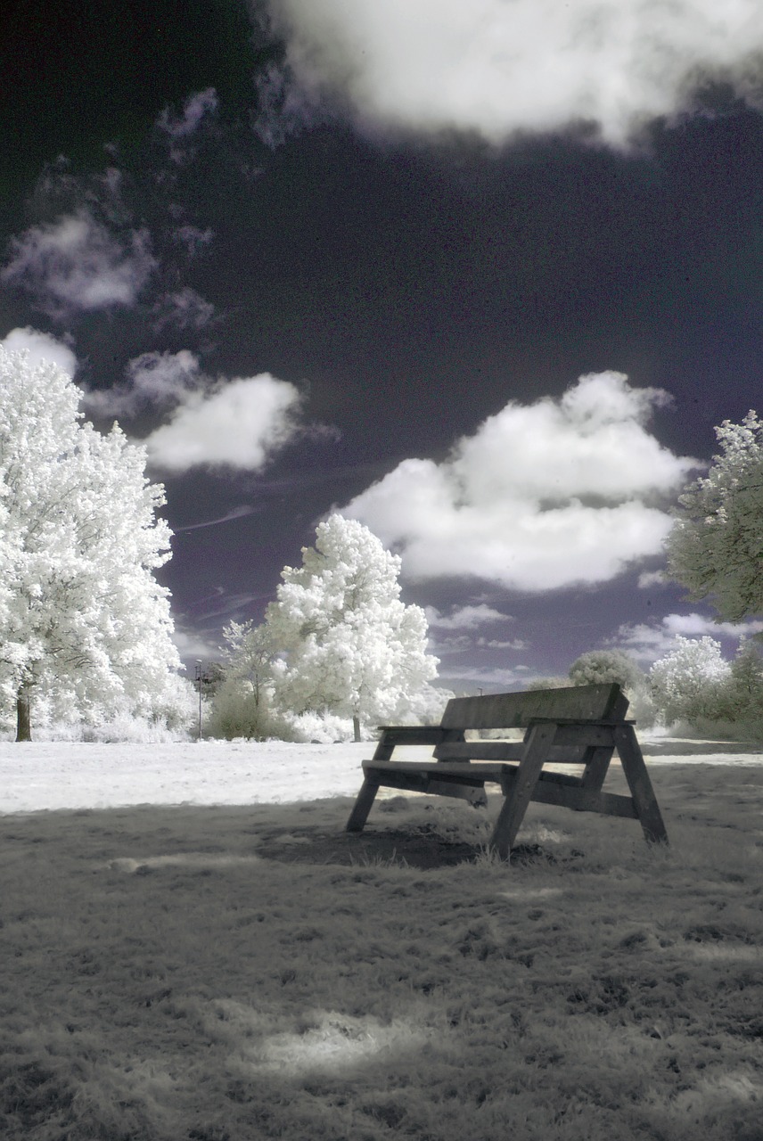 infrared nature landscape free photo