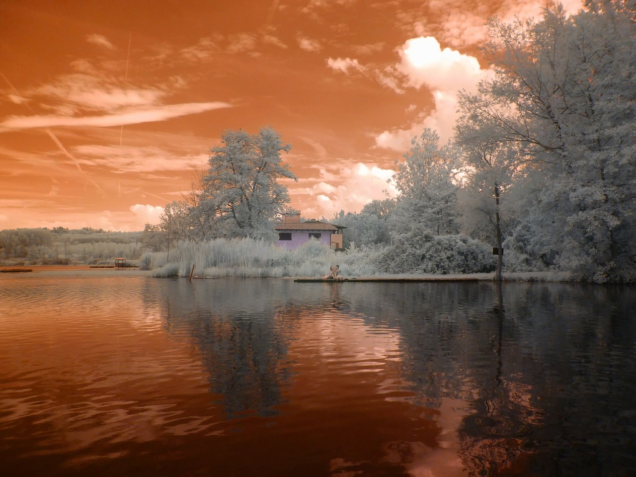 infrared fantasia landscape free photo