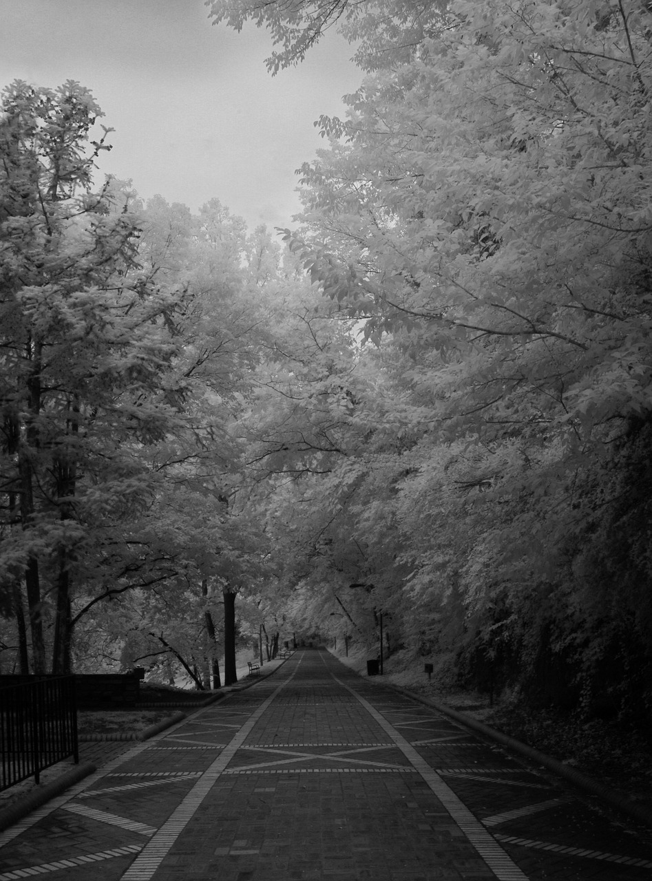 infrared black and white brick road free photo