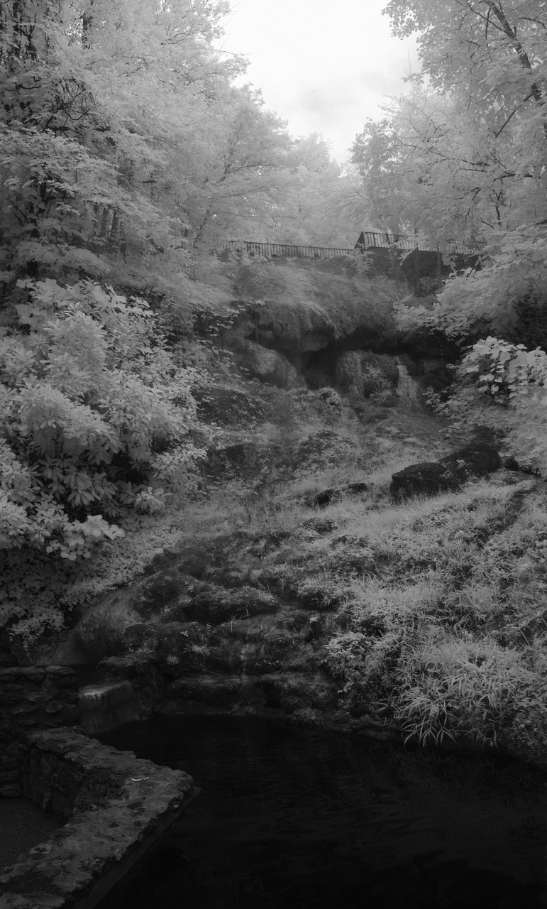 infrared black and white serene free photo