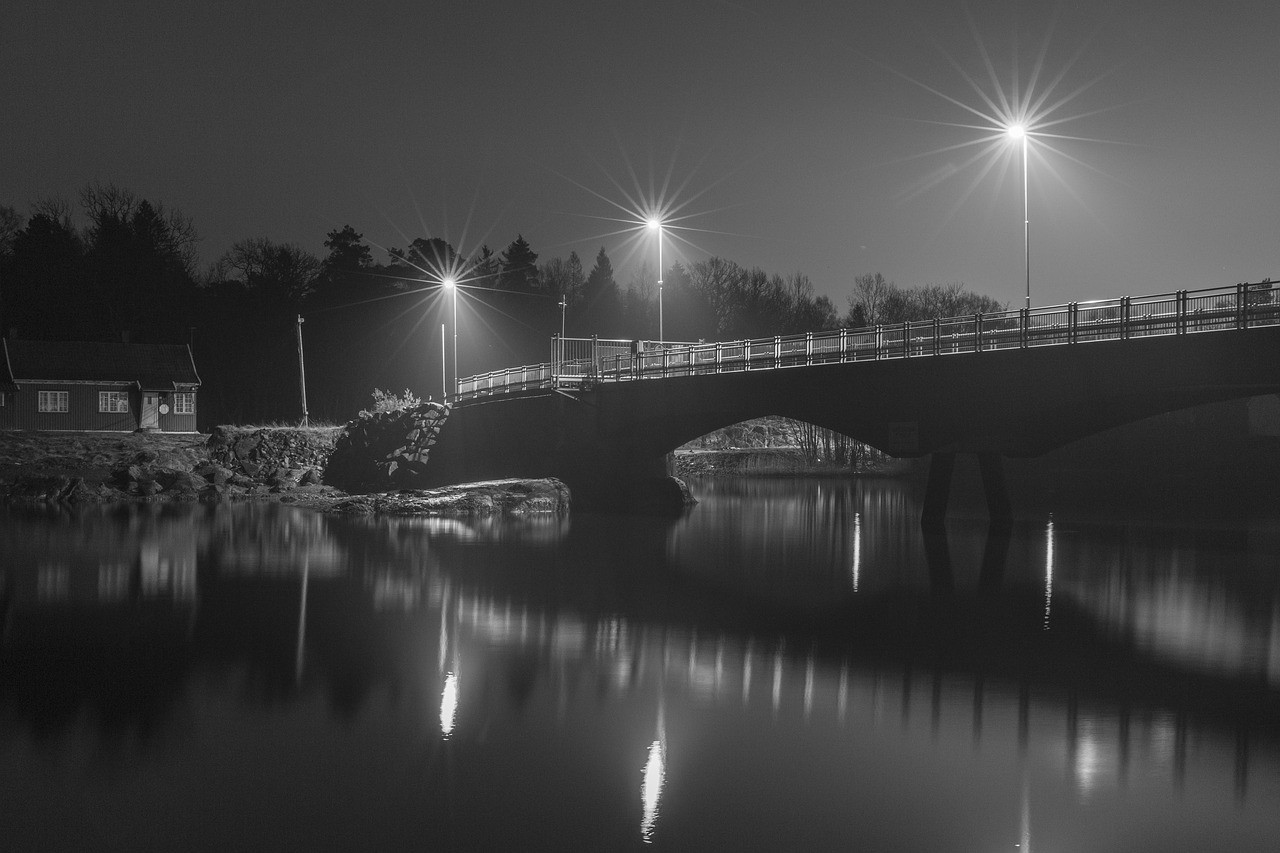infrastructure bridge black and white free photo