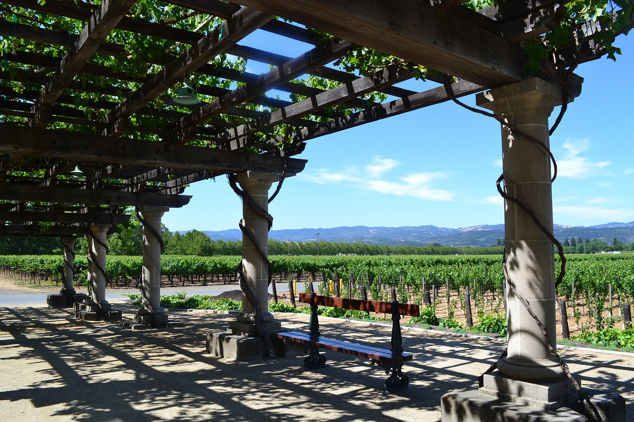 inglenook california vineyards free photo