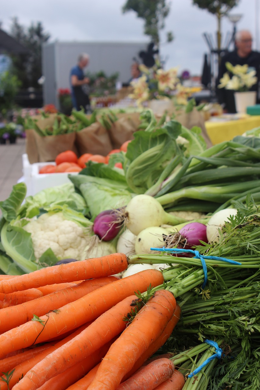 ingredients vegetables markets free photo