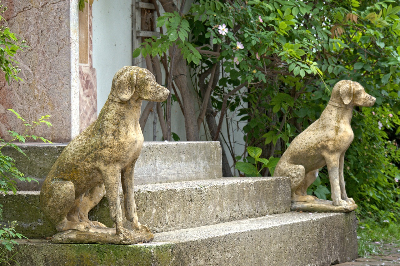 initially dog input stairs free photo