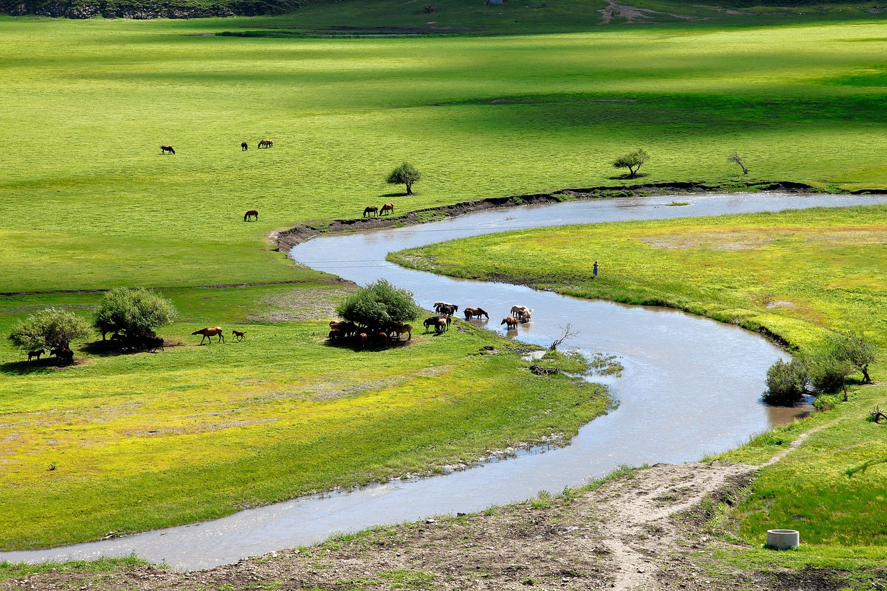 inner mongolia  horqin  prairie free photo