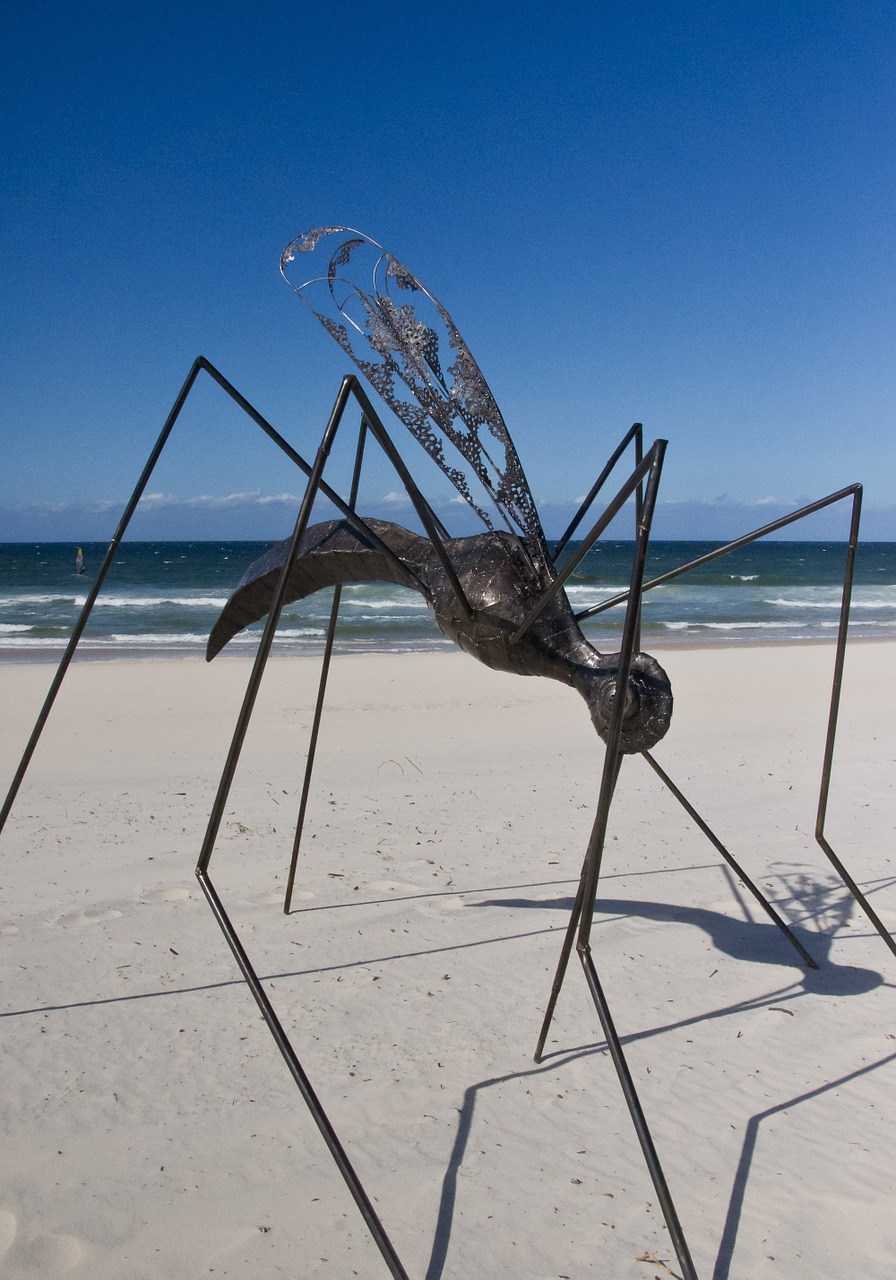 insect sculpture art free photo