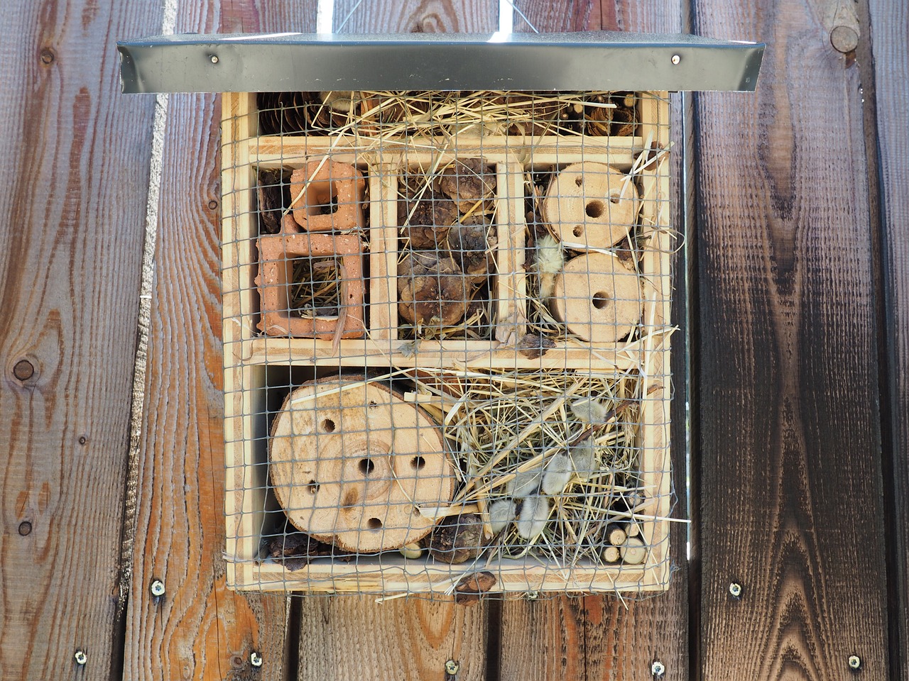 insect hotel bee bee hotel free photo