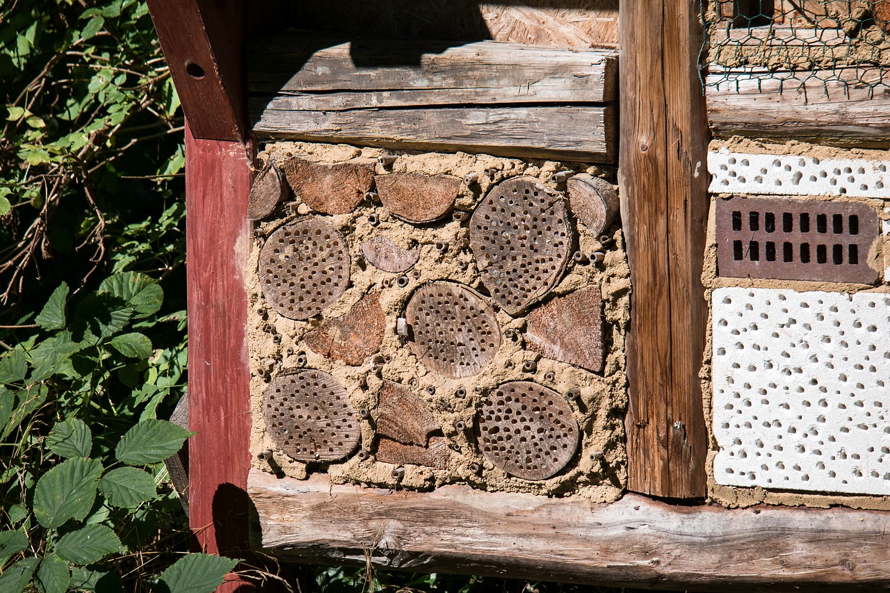 insect hotel insect insect house free photo