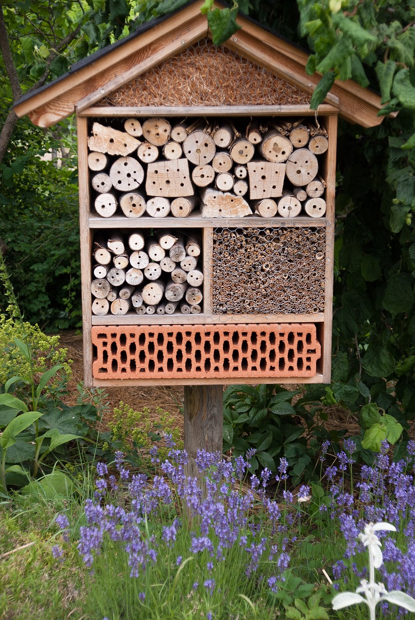 insect hotel nützlingshotel garden free photo