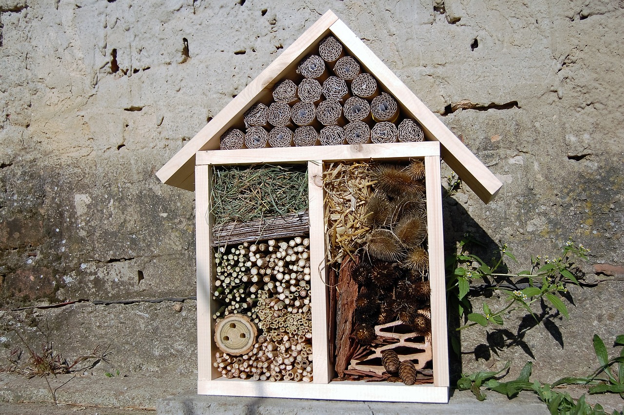 insect hotel house insect free photo