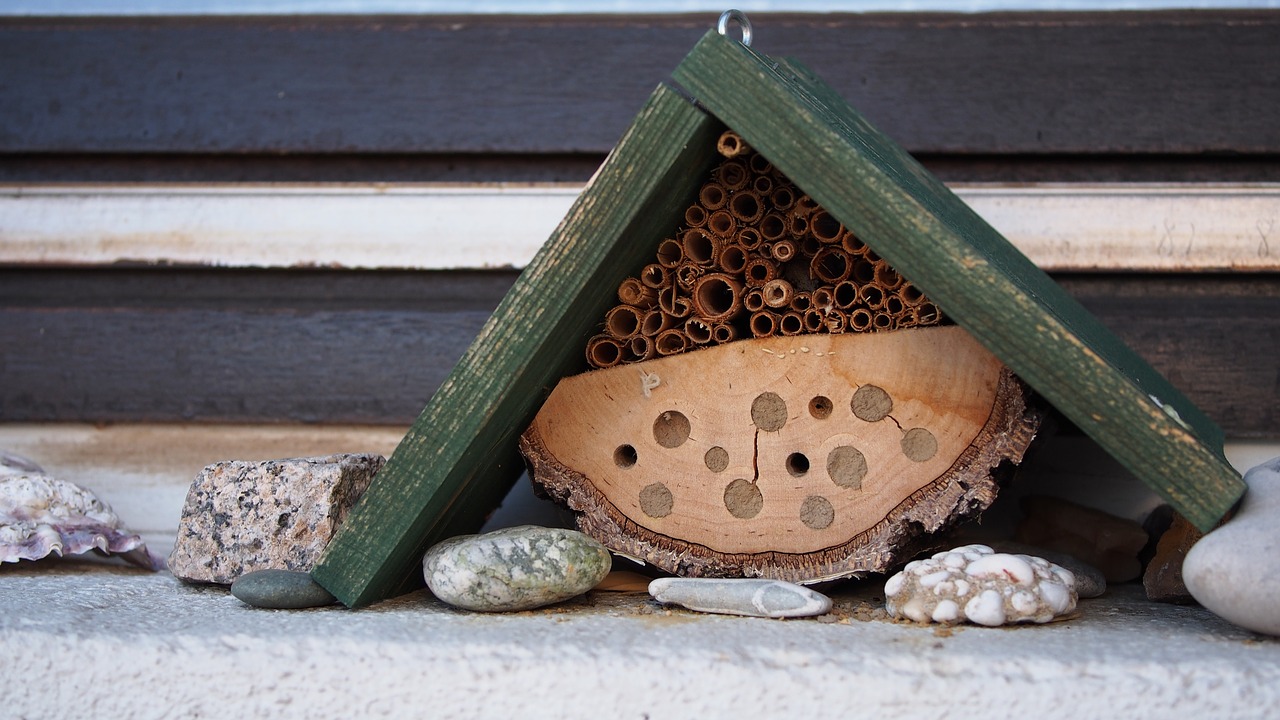 insect hotel bees wild bees free photo