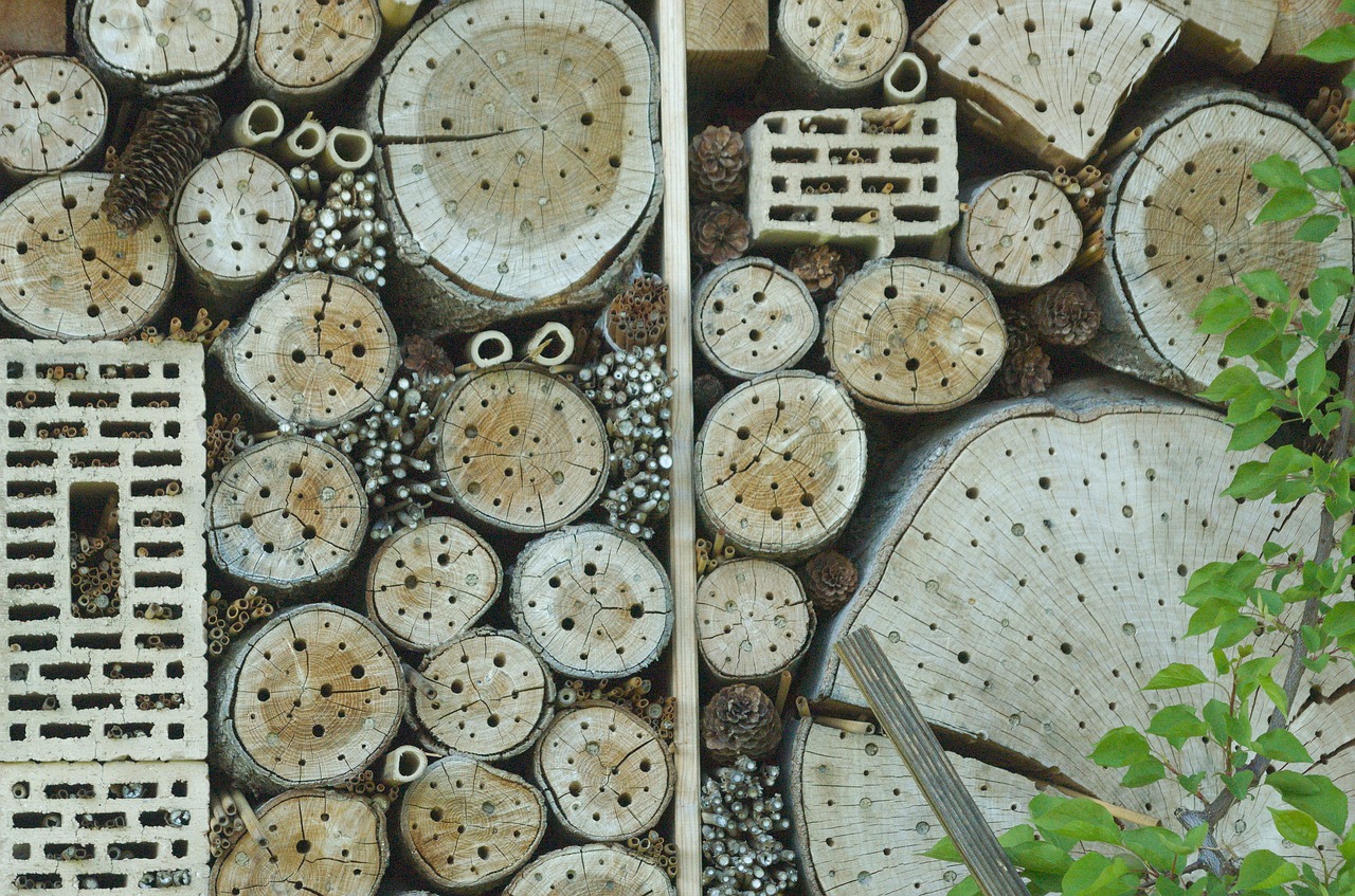 insect hotel insect house insect asylum free photo