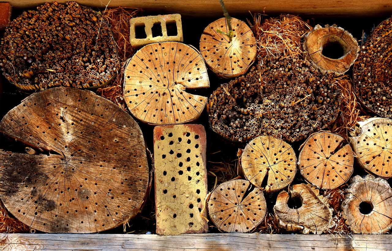 insect hotel insect house insect asylum free photo