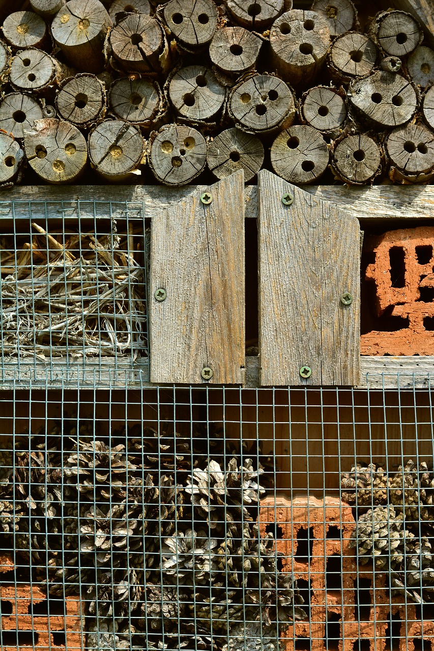 insect hotel wood perforated free photo