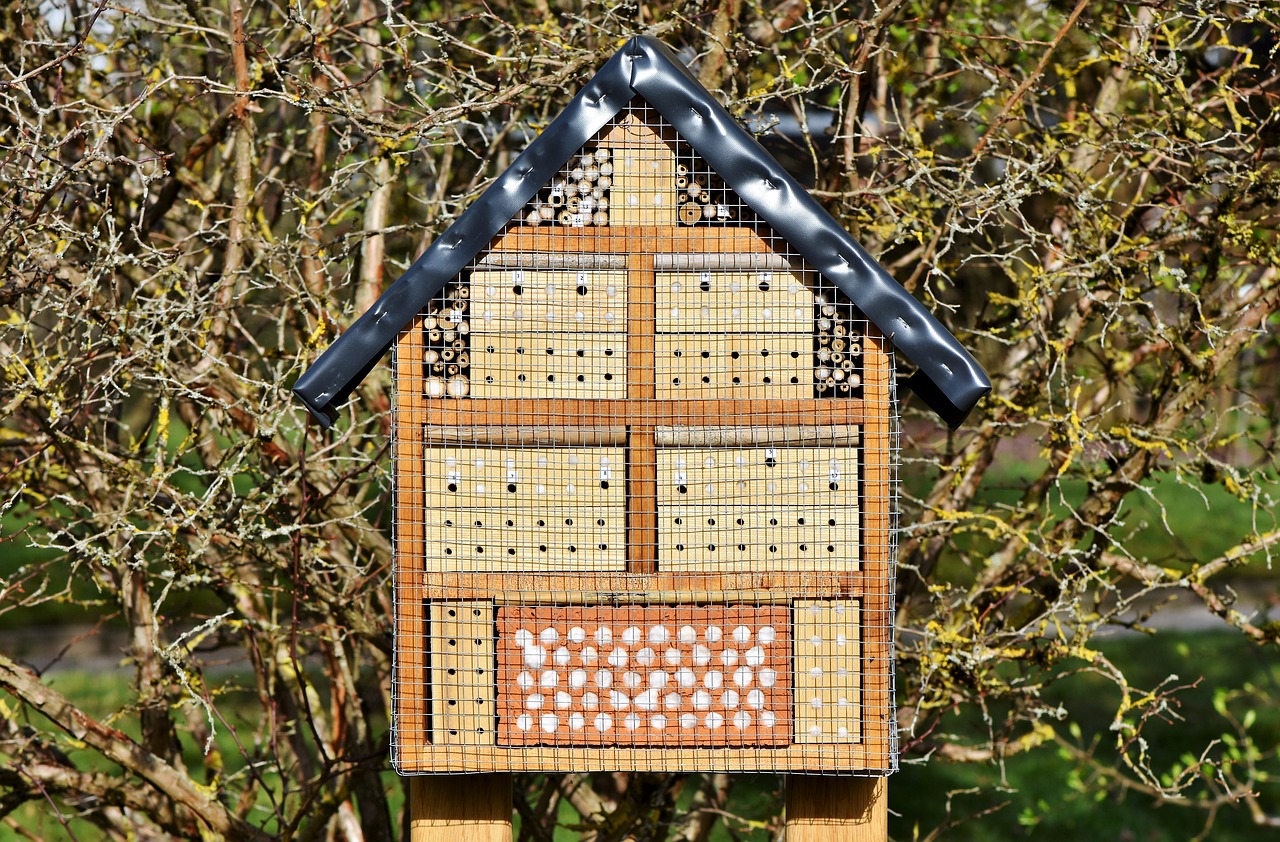 insect hotel insect house insect box free photo