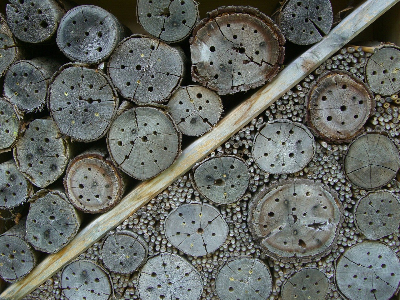 insect hotel nesting help drill holes free photo