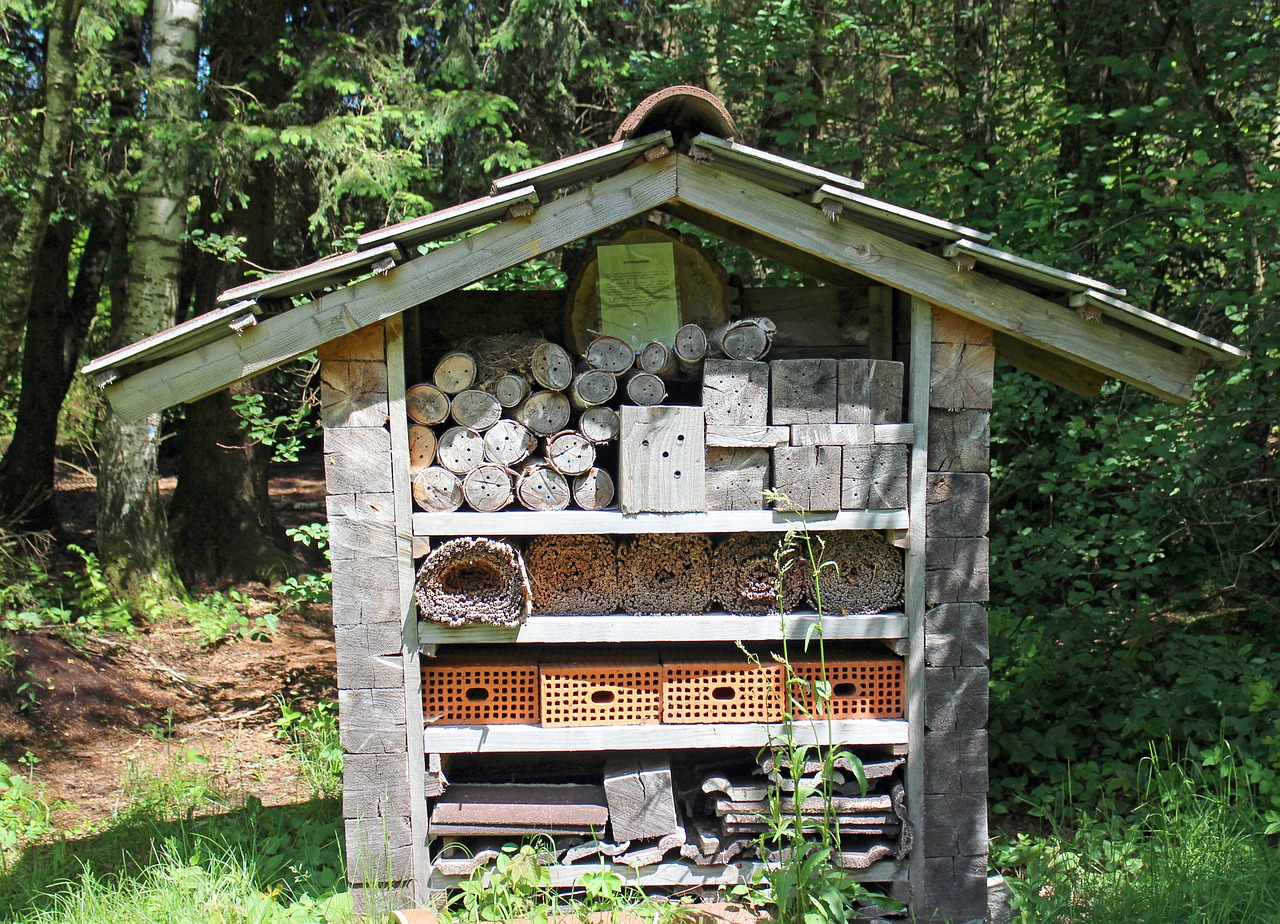 insect hotel nesting help wild bees free photo