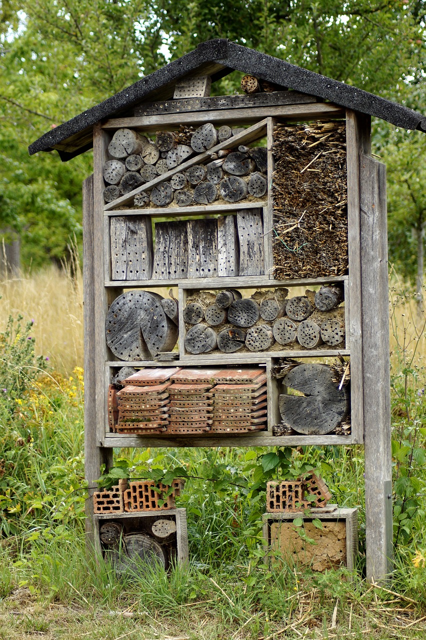 insect hotel  insect house  insect box free photo