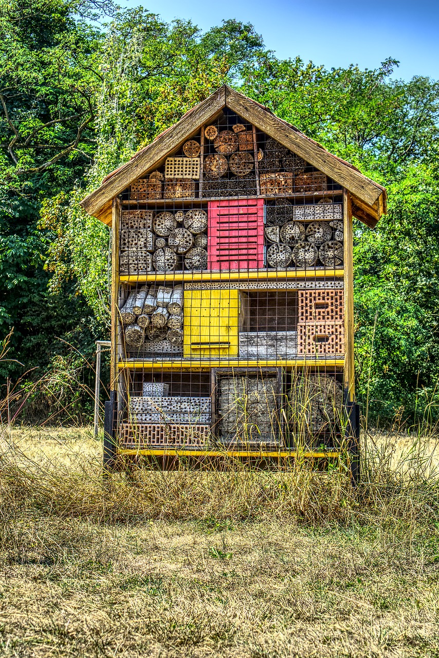 insect hotel  hotel  bee free photo