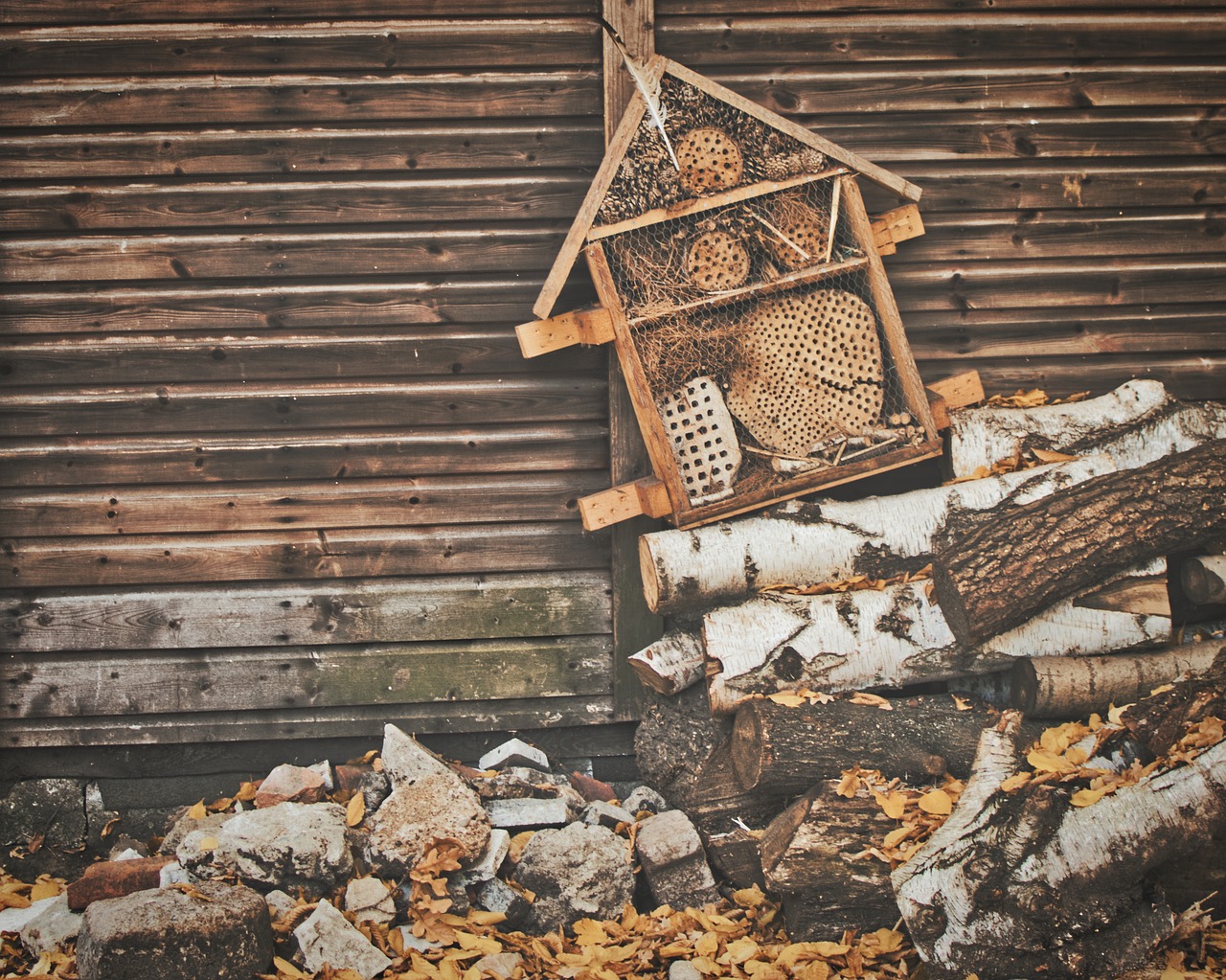 insect hotel  nature conservation  insect house free photo