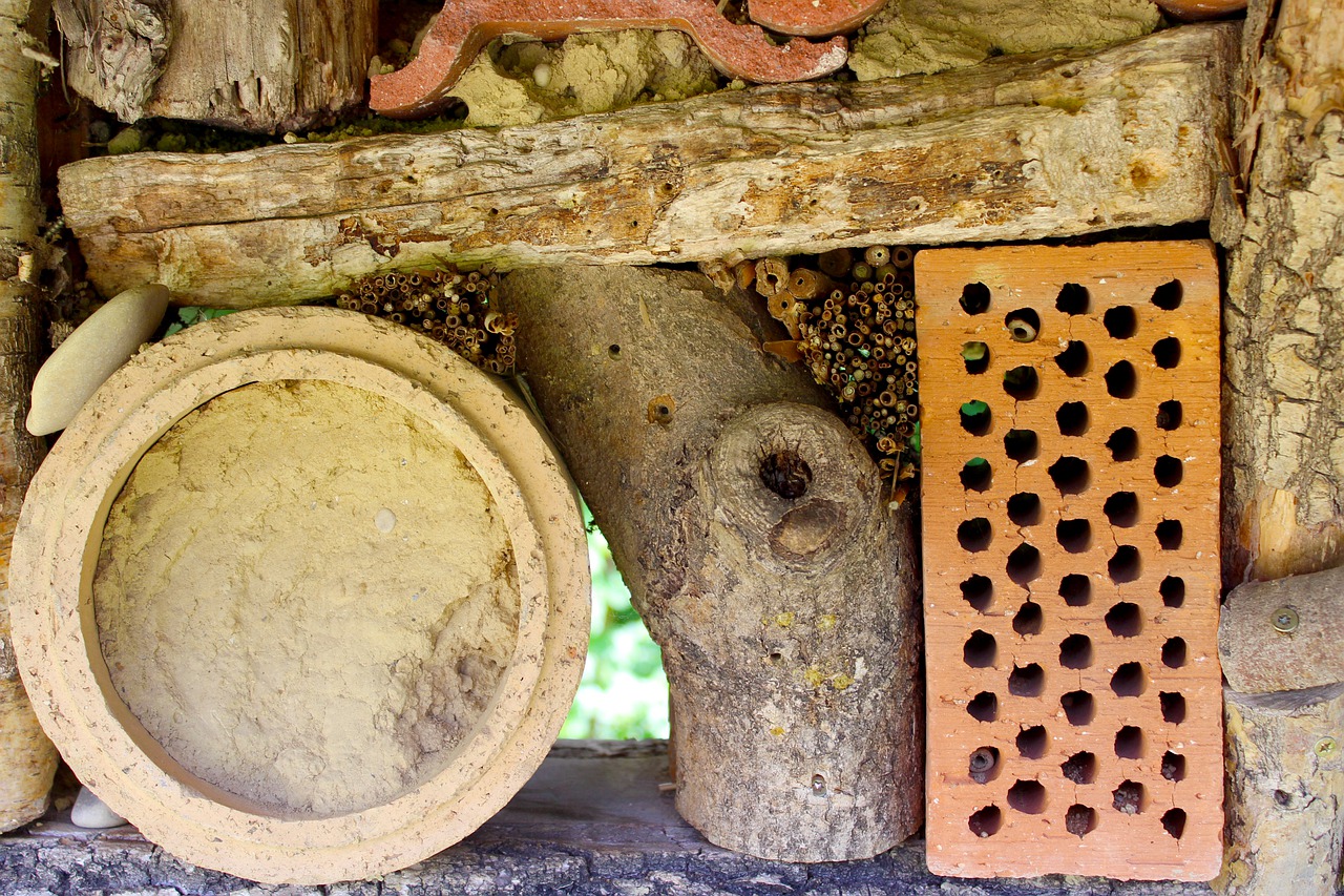 insect hotel  insect  insect house free photo