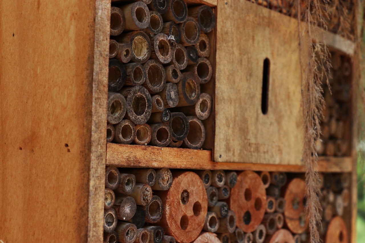 insect hotel  habitat  brown free photo
