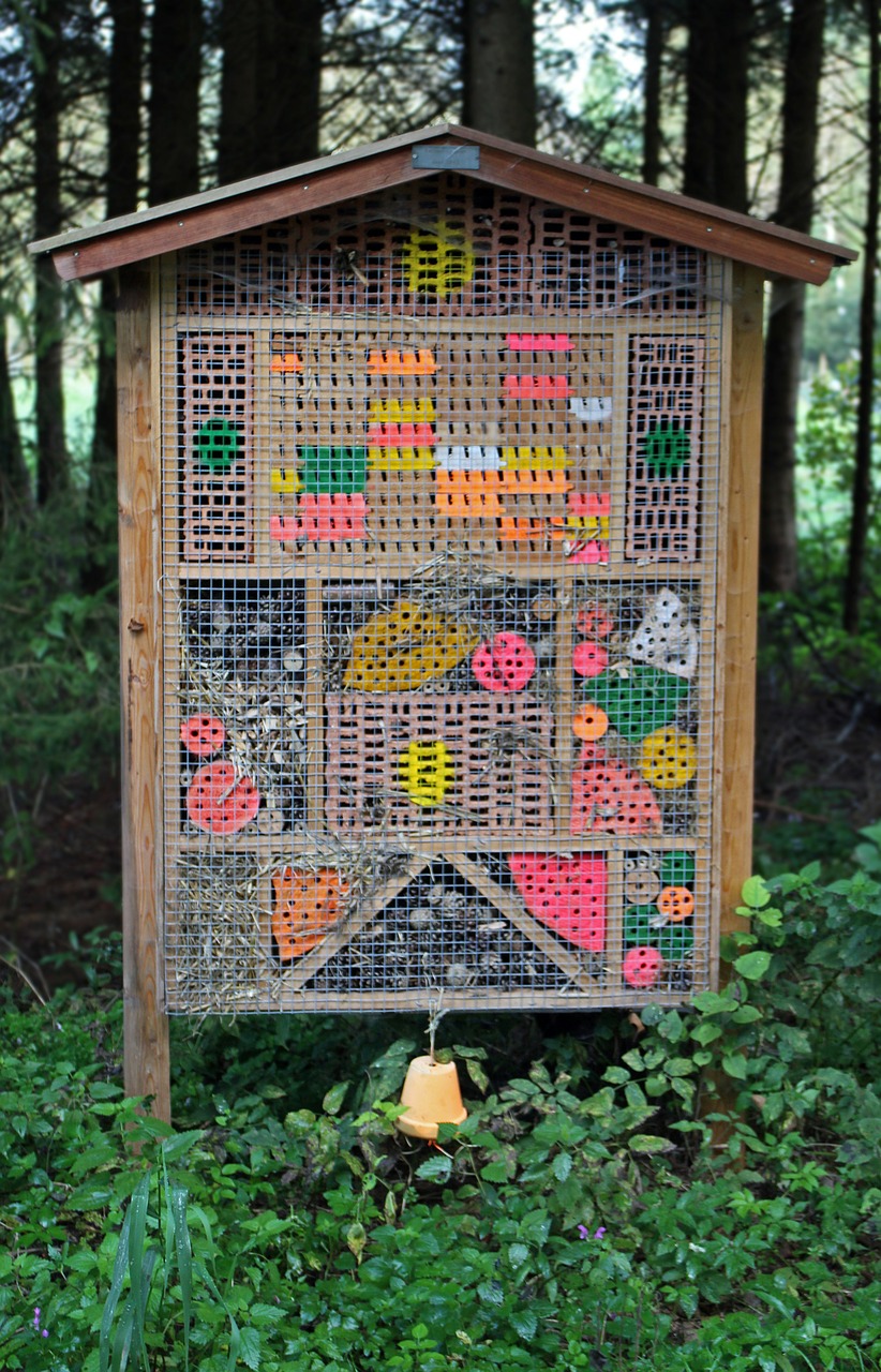 insect hotel nesting help wild bees free photo
