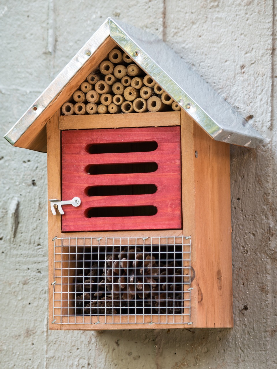 insect hotel insect insect house free photo