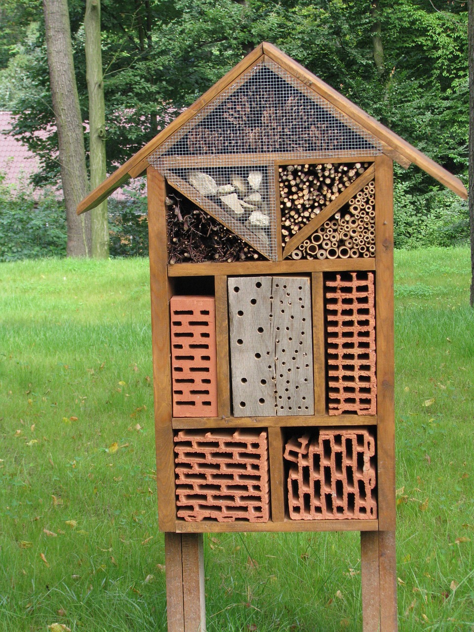 insect house bug hotel cracow zoo free photo