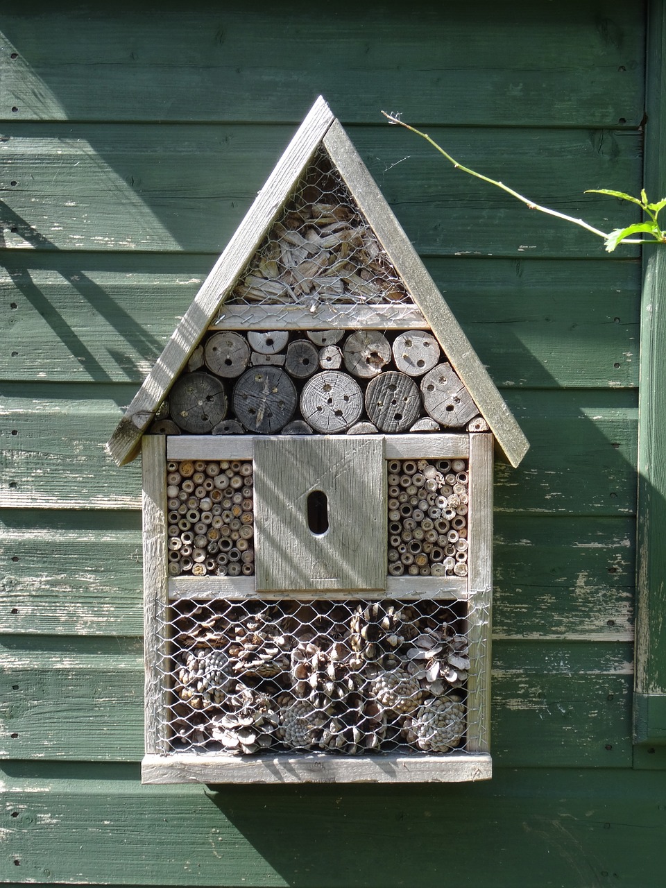 insect house insect bee free photo
